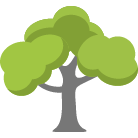 Anderson Tree Removal Service