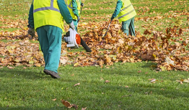 Leaf Blowing for Cleanup