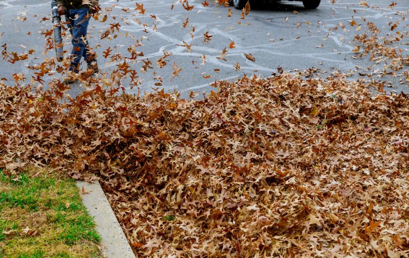 Final Leaf Cleanup